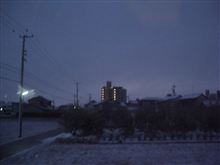 才ノヽ∋―_φ(゜▽゜*)♪ 【2013/01/28】