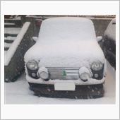 みにが