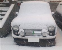 みにが