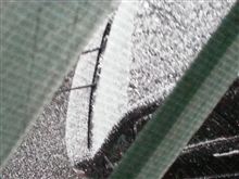 通り雪