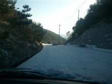 屍るいるい &amp; 今朝の追突事故報告