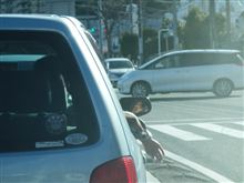 本日のポイ捨て野郎