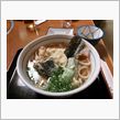 本場讃岐うどん