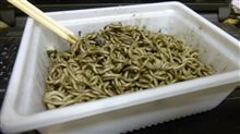 今更ですが・・・♪