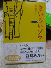 きいろいぞぅ きいろいぞぅ