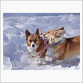 ヒトツキ分　まとめて～