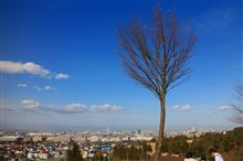 メタボ解消ボタリング都立桜ヶ丘公園　まで