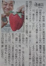 美味しい食べ物とグロい食べ物が・・・閲覧注意かも！？