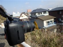 8mmレンズ　テスト撮影