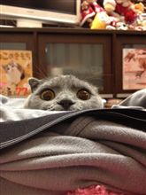 コワかゎいい（笑）