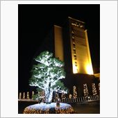 滋賀県にいました