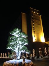 滋賀県にいました