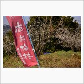 南部梅林撮影ツアー