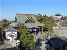 冬の成田山を訪ねて ~ 成田山新勝寺・成田山公園 ~ 冬の成田山を訪ねて ~ 成田山新勝寺・成田山公園 ~