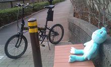 カエルが待ちぼうけ…
