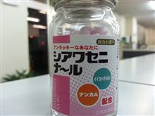六甲山から見える南港wオートメッセ2013ヽ(・∀・)ノ
