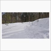 ( ﾟДﾟ)ノ…激しく雪上ド ...