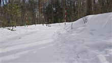 ( ﾟДﾟ)ノ…激しく雪上ドライブ！