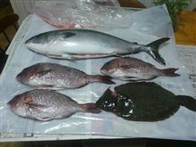 釣れた瀨