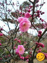 申込みはお済みですか？