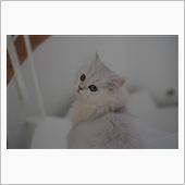 みんカラ一時休止します&lt;(_ ...