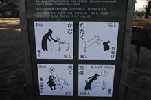 奈良公園を散策