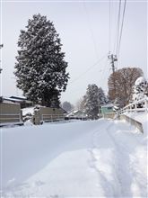 大雪後の出勤風景