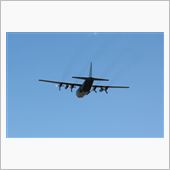 殆ど空振りにちかい。。。
