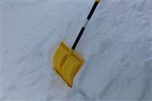 犬は喜び雪ん中駆け回り〜♫嫁は黙々雪を掻く〜♬