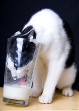 なんともはや、残念なニュース。。。