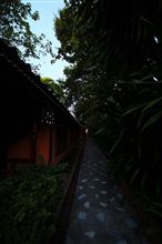 Koh Samui, Thailand / サムイ島　午前中のみの散策