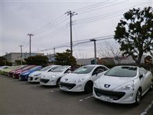 PEUGEOT 207の日オフ PEUGEOT 207の日オフ