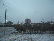 才ノヽ∋―_φ(゜▽゜*)♪ 【2013/02/18】