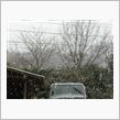 局地的大雪