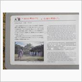 今帰仁城址にて
