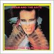 Jools Holland with Adam Ant