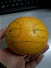 第2弾!!! 第2弾!!!