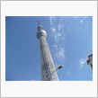in 東京　5日間ぐらいの旅