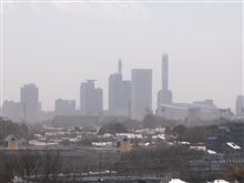 砂嵐と桜