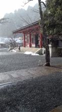 2013/02/24の行動 2013/02/24の行動