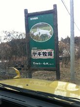 食用？
