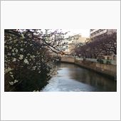 今日の通勤風景