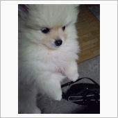 まるちゃんスクスク