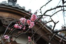 季節の移りを感じる
