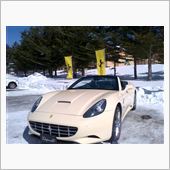 フェラーリ on 雪