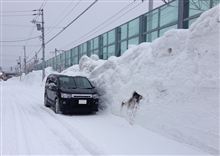 除雪