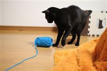 １月は行く、２月は逃げる、３月は・・・