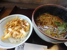 かけそばと桜エビかき揚げミニ丼