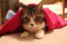 暖かくなりましたね～♪