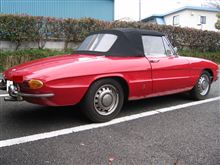 ALFA ROMEO DUETTO SPIDER SPRING HAS COME ALFA ROMEO DUETTO SPIDER SPRING HAS COME